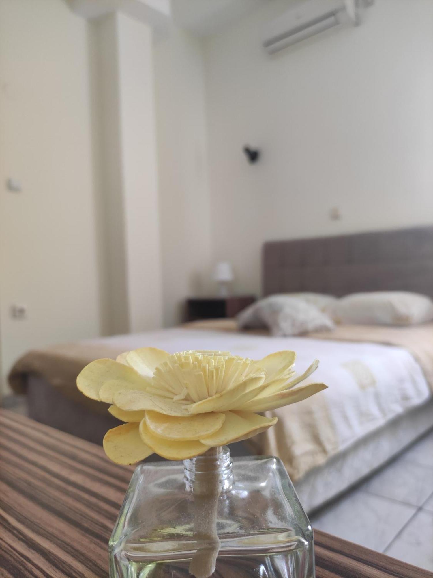 B&B Bebinac Leskovac  Exteriér fotografie
